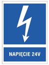 ZNAK Bezpieczeństwa ANRO (ZZ-13EIA)