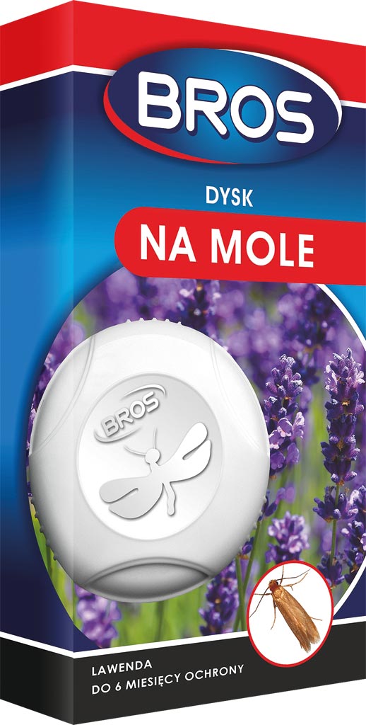 DYSK na MOLE BROS